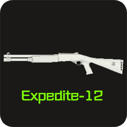 Expedite 12 Icon