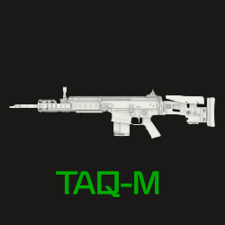TAQ-M Icon