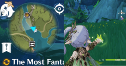 Genshin - The Most Fantastic Tournament You