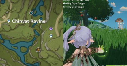 Genshin - The Most Fantastic Tournament You