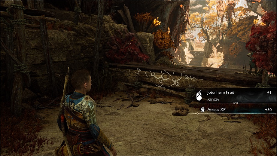 Ragnarok - Jotunheim Fruit