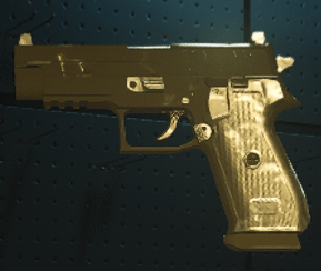 Modern Warfare 3 (MW3) - Gold P890