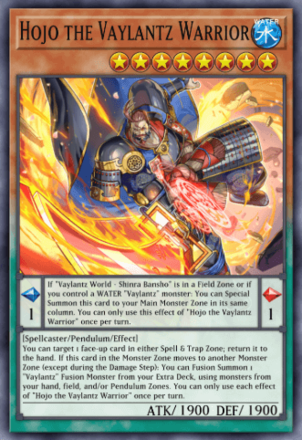 Hojo the Vaylantz Warrior