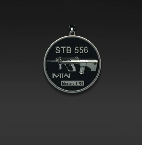 STB 556 Mastery