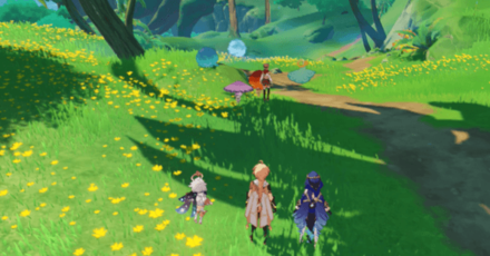 Genshin - Farewell My Shroom Buddies Quest Step 5 - Pass on all the Fungi to Haniyyah