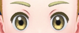 Pokemon Scarlet and Violet SV - Ash brown