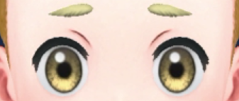 Pokemon Scarlet and Violet SV - Brow C (I)