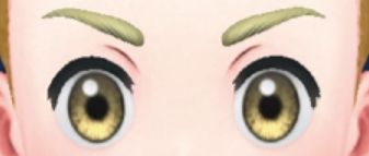 Pokemon Scarlet and Violet SV - Brow H (II)