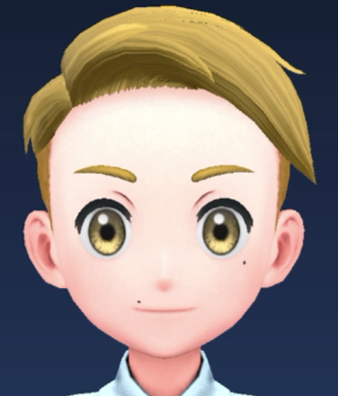 Pokemon Scarlet and Violet SV - Beauty spot XII