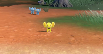 Pokemon Scarlet and Violet SV Shiny Shinx
