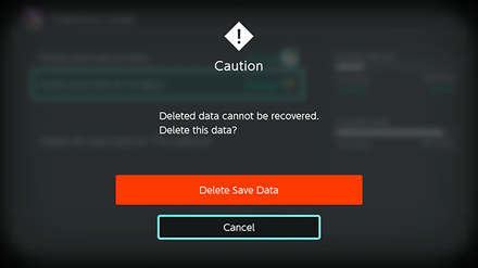 Delete Save Data - Step 5