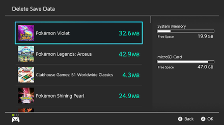 Delete Save Data - Step 3