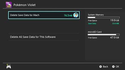 Delete Save Data - Step 4