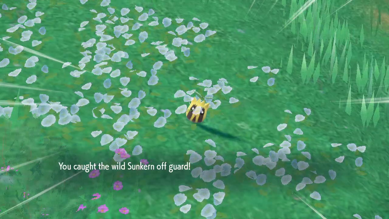 Pokemon SV - unaware Sunkern