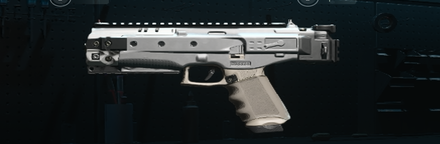 Modern Warfare 2 (MW2) - Steel Ghost