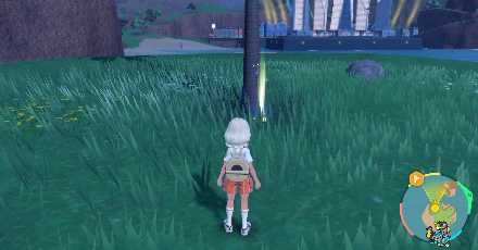 Pokemon Scarlet and Violet SV - TM145 - Water Pledge TM Overworld Location