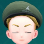 Pokemon Scarlet and Violet SV - Beret