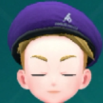 Pokemon Scarlet and Violet SV - Beret