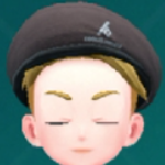 Pokemon Scarlet and Violet SV - Beret