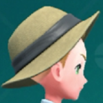 Pokemon Scarlet and Violet SV - Straw Hat