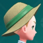 Pokemon Scarlet and Violet SV - Straw Hat