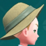 Pokemon Scarlet and Violet SV - Straw Hat