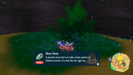 Pokemon Scarlet and Violet SV - Evolution Stones from Dropped Items