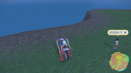 Pokemon Scarlet and Violet SV - Go Down the Edge of the Cliff near the NPC Girl