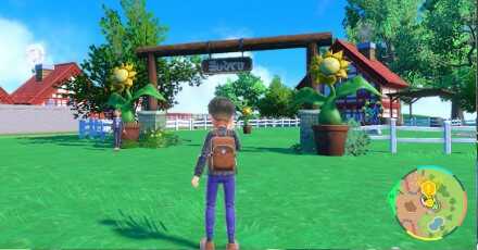 Looking for the Sunflora Lawn - Pokemon Scarlet and Violet (SV)
