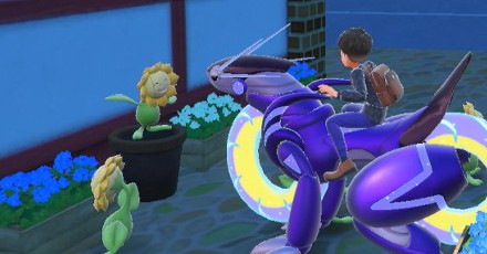 Looking for Sunflora - Pokemon Scarlet and Violet (SV)