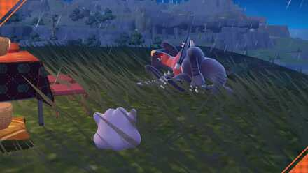 Pokemon Scarlet and Violet SV Ditto and Garchomp.png