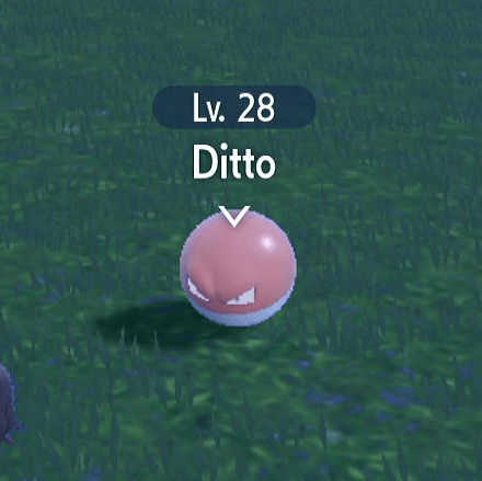 Pokemon Scarlet and Violet - Registered Pokedex Ditto