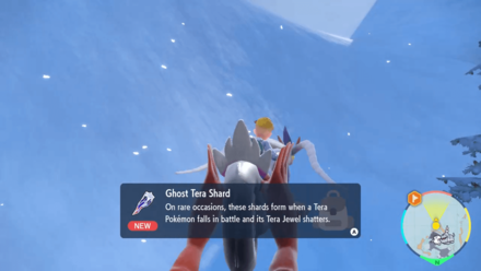 Pokemon Scarlet and Violet SV - Tera Shard Dropped Item