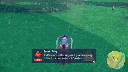 Pokemon Scarlet and Violet SV Tamato East Province Area 1.png