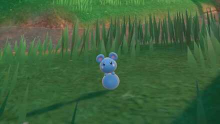 Pokemon Scarlet and Violet SV - Azurill Location and Habitat