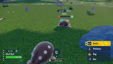 Pokemon Scarlet and Violet SV Ditto in the Red and Asleep