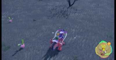 Duplication Glitch Ninth Step - Pokemon Scarlet and Violet (SV)