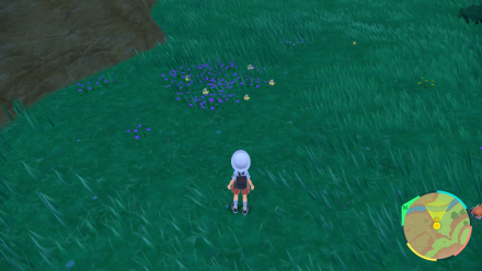 Pokemon Scarlet and Violet SV Flabebe