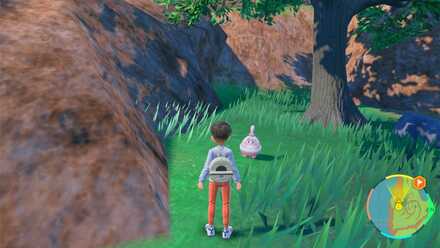 Pokemon Scarlet and Violet - Happiny Sighting