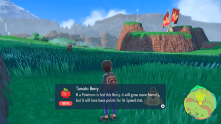 Pokemon Scarlet and Violet (SV) - Tamato Berry Location