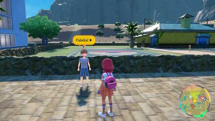 Overworld Location for the Flabebe Trainer