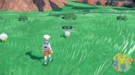 Pokemon Scarlet and Violet SV - Tarountula in South Province (Area Five)