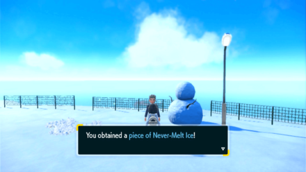 Pokemon Scarlet and Violet (SV) - Never-Melt Ice being rewarded for beating a previous record in the Powder Snow Course
