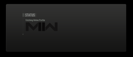 Modern Warfare 2 - Fetching Acount Data from Platform