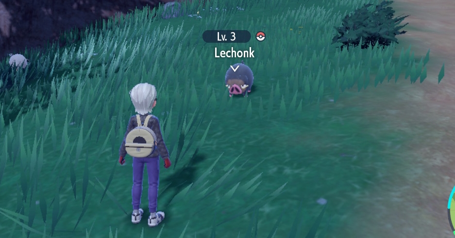 Pokemon SV - locking-on a Lechonk