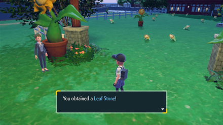 Pokemon Scarlet and Violet (SV) - Sunflora Hide and Seek Leaf Stone being rewarded for finding 10 Sunflora