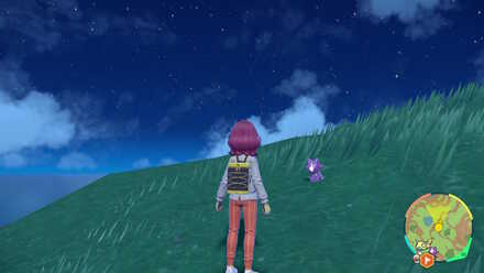 Toxel Overworld Location