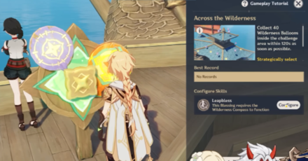 Genshin - Across the Wilderness - Select the Best Blessings