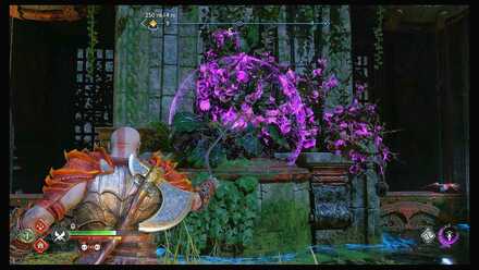 Set the Vines Aflame