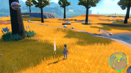 Pokemon Scarlet and Violet (SV) - Cracked Pot Location